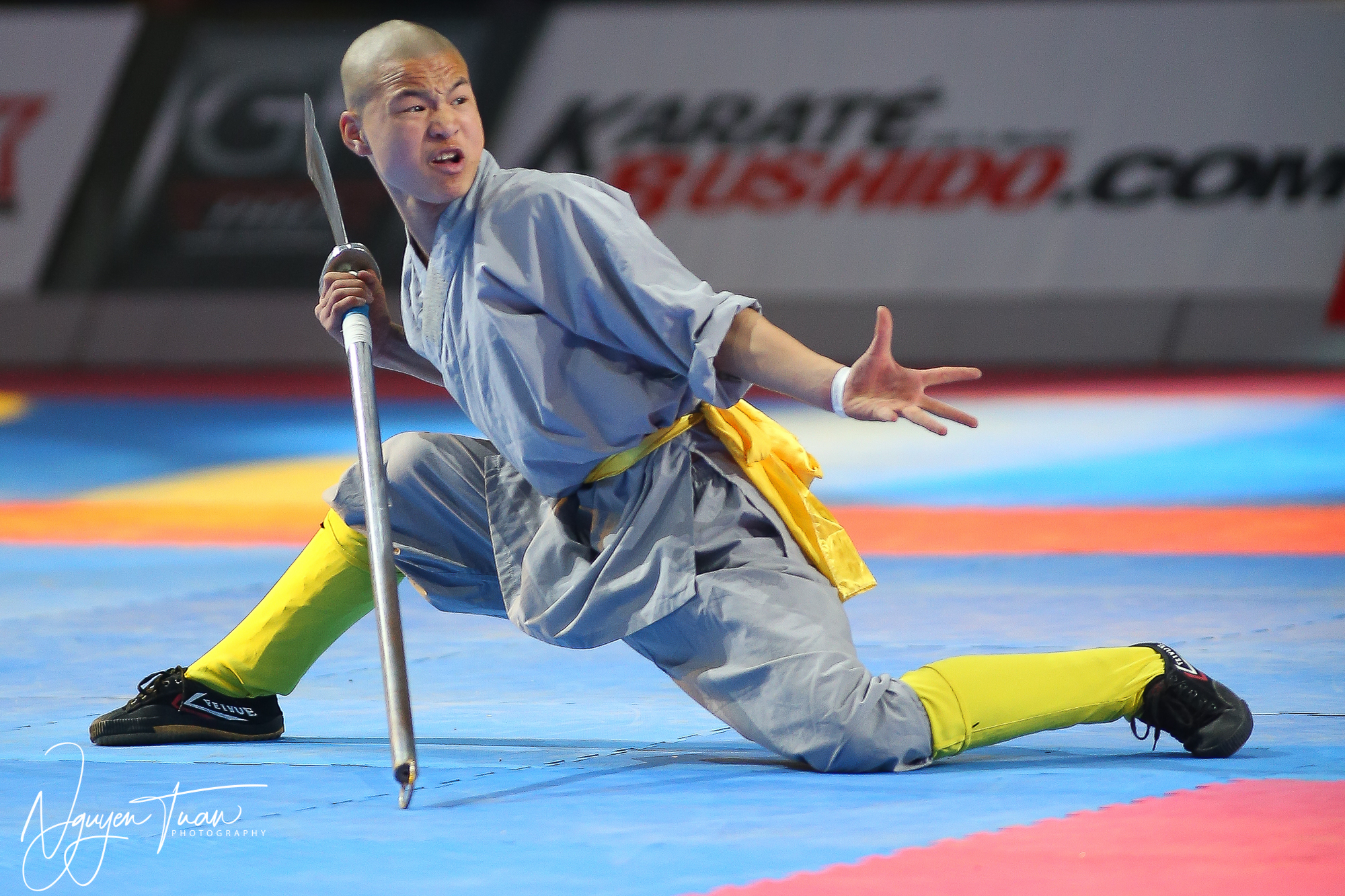 20190324 Festival des Arts Martiaux 0787